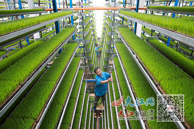 興農·富民 技術推廣服務的引擎與橋梁